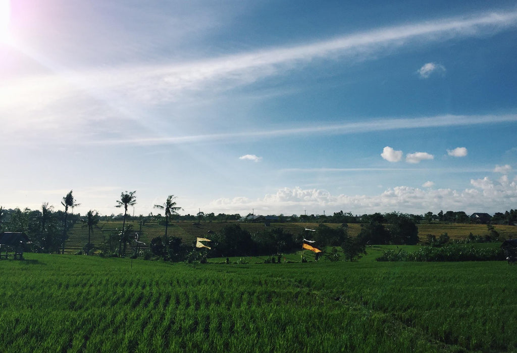 Sea Yogi // Bali teacher training blog post